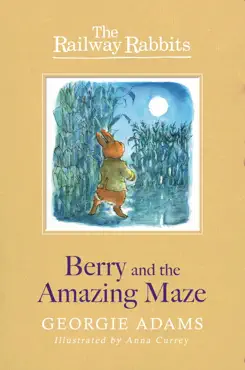 berry and the amazing maze imagen de la portada del libro