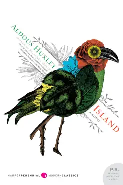 island book cover image