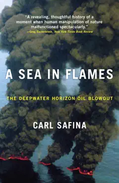 a sea in flames book cover image