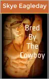 Bred by the Cowboy synopsis, comments