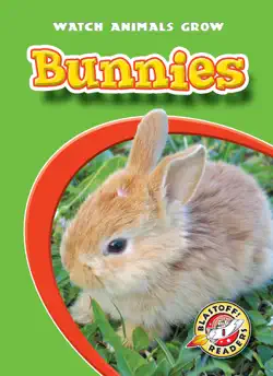bunnies book cover image