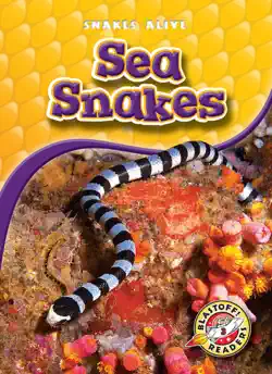 sea snakes book cover image