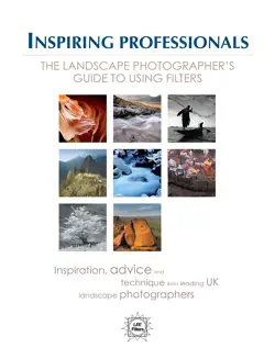 inspiring professionals book cover image