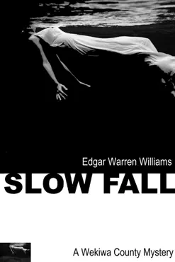 slow fall book cover image