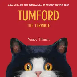 tumford the terrible book cover image
