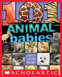 101 animal babies book cover image