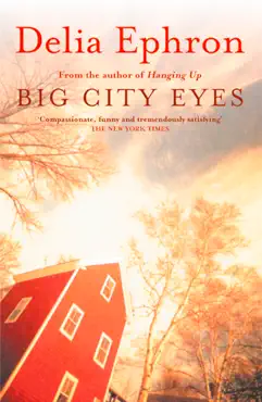 big city eyes imagen de la portada del libro