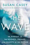 The Wave synopsis, comments