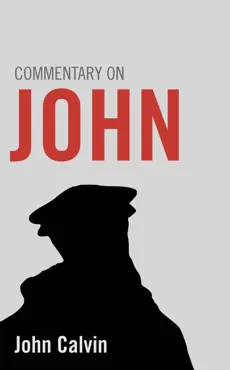 commentary on john book cover image