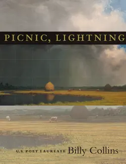 picnic, lightning book cover image