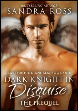 dark knight in disguise, the prequel book cover image