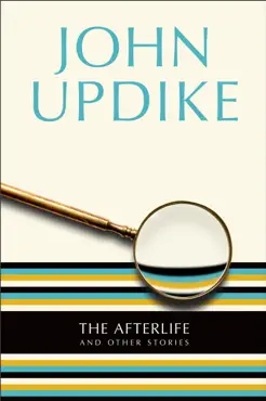 the afterlife book cover image