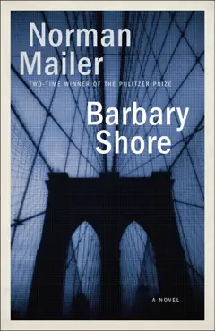 barbary shore book cover image