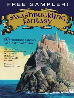 swashbuckling fantasy book cover image