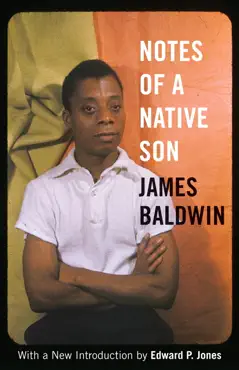 notes of a native son book cover image