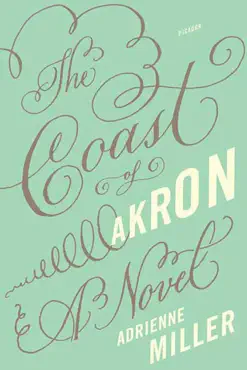 the coast of akron imagen de la portada del libro