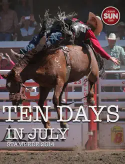 ten days in july book cover image