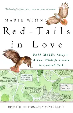 red-tails in love book cover image
