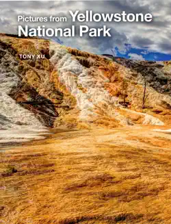 pictures from yellowstone national park book cover image