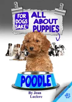 all about poodle puppies book cover image