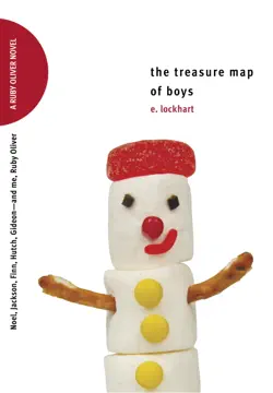 the treasure map of boys book cover image