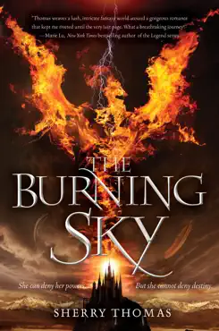 the burning sky book cover image