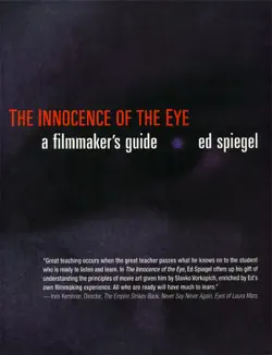 innocence of the eye book cover image