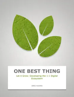 let it grow: developing the 1:1 digital ecosystem  book cover image
