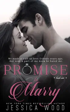 promise to marry book cover image