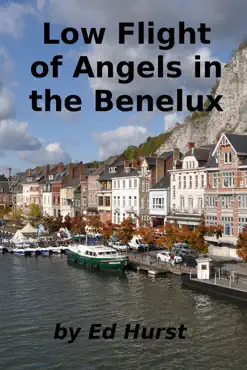 low flight of angels in the benelux book cover image