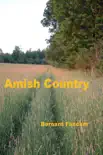Amish Country synopsis, comments