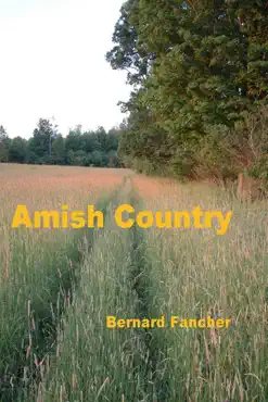 amish country book cover image