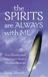 The Spirits Are Always With Me synopsis, comments