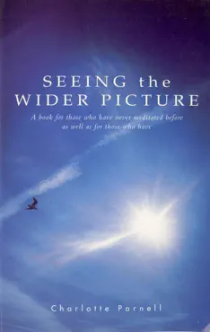 seeing the wider picture book cover image