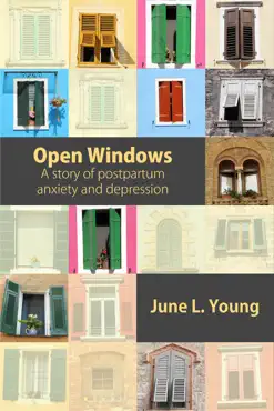 open windows: a story of postpartum anxiety and depression book cover image