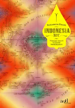 indonesia ecc. book cover image