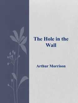 the hole in the wall book cover image