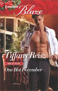 one hot december book cover image
