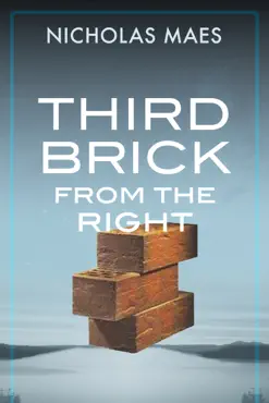 third brick from the right book cover image