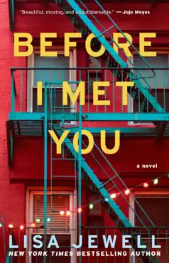 before i met you book cover image