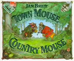 town mouse country mouse book cover image