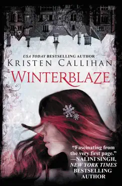 winterblaze book cover image