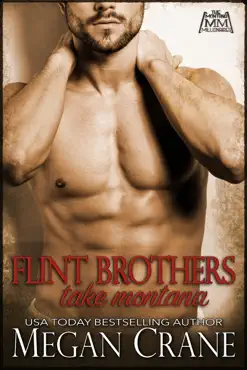 the flint brothers take montana book cover image