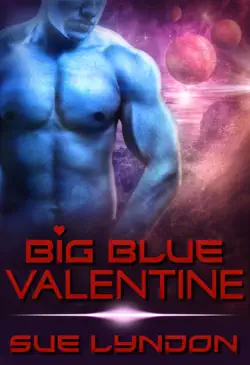 big blue valentine book cover image