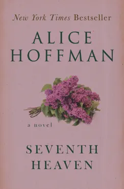 seventh heaven book cover image