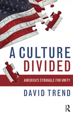culture divided book cover image