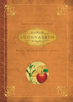 lughnasadh book cover image
