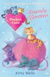 Pocket Cats: Friends Forever sinopsis y comentarios