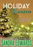 Holiday Romance synopsis, comments