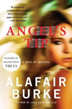 angel's tip book cover image